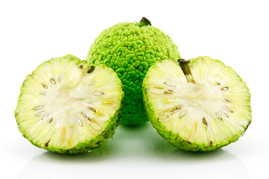 Sliced Osage Oranges (Maclura) Isolated on White