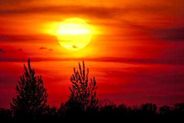 Obraz premium Sonne
