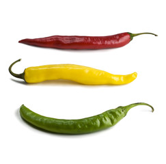 rote, grüne, gelbe chili schote