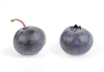 Obraz premium heidelbeere blaubeere