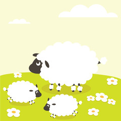sheep