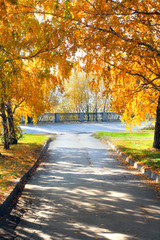 autumn park