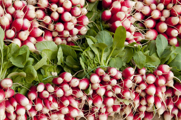 Bottes de radis sur un étalage de fruits et légumes au marché de