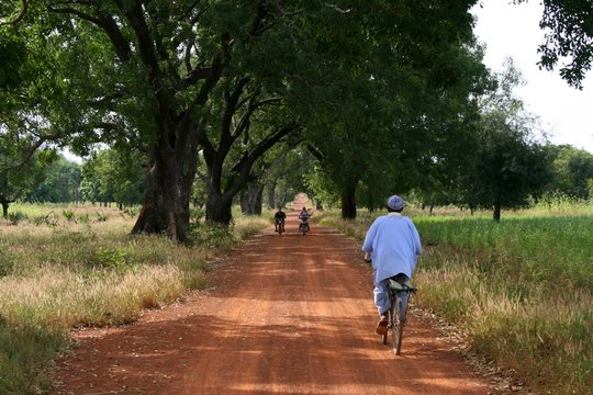 Mopeds and Bicycle
