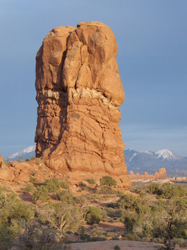 Desert Rock