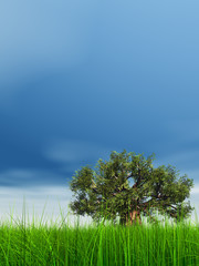Obraz premium 3d green grass over a blue sky with old baobab tree