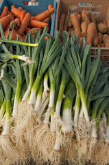 Etalage de fruits et légumes sur le marché de Hesdin (poireaux,