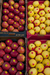 Etalage de pommes Golden et Royal Gala sur le marché de Hesdin