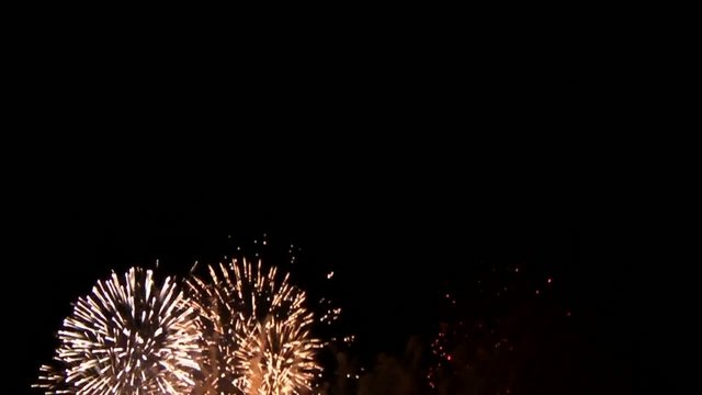 東京湾大華火祭