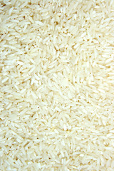 texture Rice grains