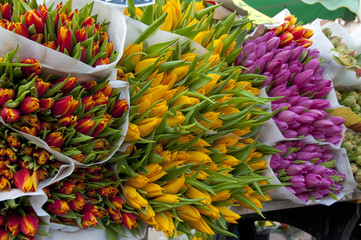 Le marché aux fleurs - Etalage de tulipes en bouquet
