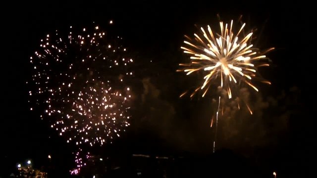 東京湾大華火祭