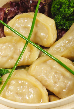 Japanese Cuisine - Pork Dumplings