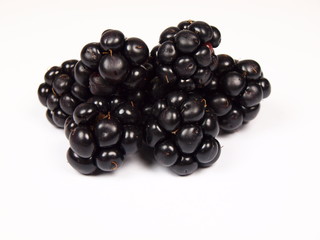 Blackberries on white background