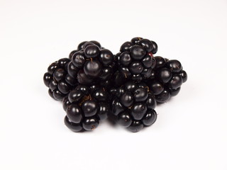Blackberries on white background