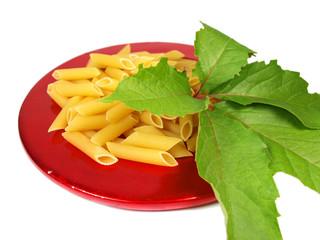 Uncooked pasta served on red plate