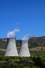 Nuclear plant