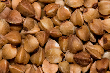 Buckwheat background