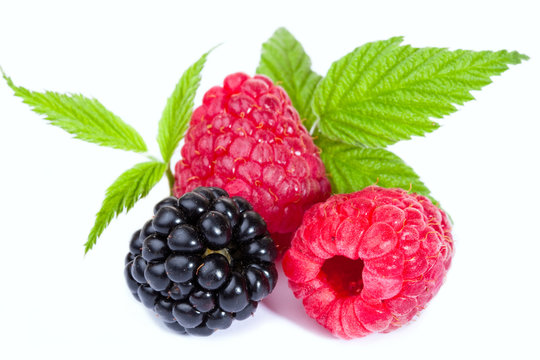 Mixed Raspberies and Blackberry with leaves
