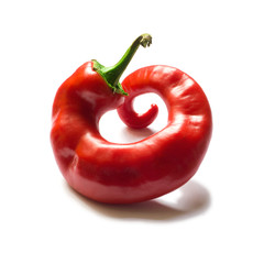 Round chilly pepper