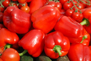 Paprika