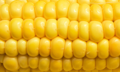 Corn macro