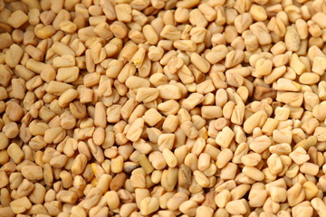 fenugreek