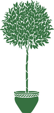 arbre en pot