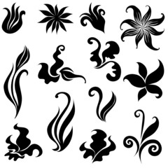 Set of black flower design elements - obrazy, fototapety, plakaty