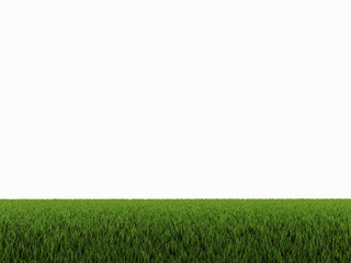 green grass on white background © navarro raphael