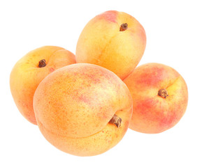 Apricots
