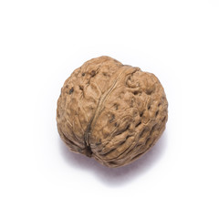 walnut