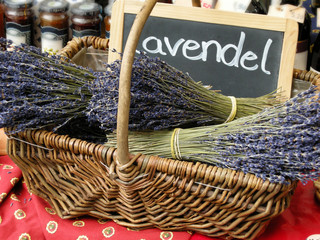 Lavendel