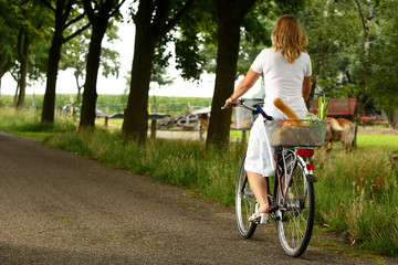 Naklejka premium Einkaufen mit dem Fahrrad