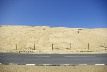 Route isolée dans les dunes Landaises en France