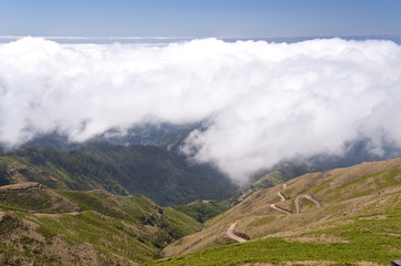 madeira