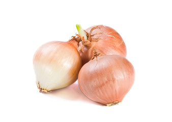 Fototapeta premium Three onions