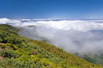 madeira