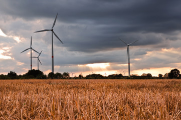 Windräder im Abendlicht vor kahlem Weizenfeld