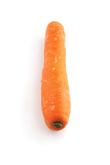 Carrot