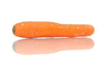 Carrot