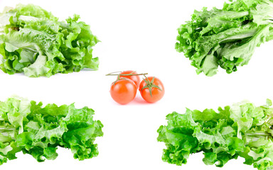 green lettuce set and  tomato