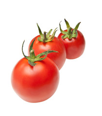 tomatoes in row