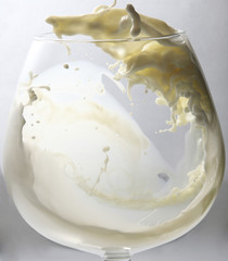 pouring milk or white liquid created splash