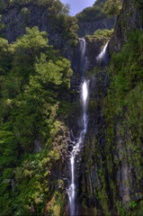 madeira