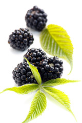 dewberries (blackberries) and green leaves