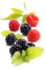 Berry fruits