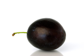 Blue plum before white background