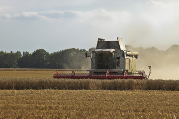 Obraz premium Harvestpower - Mähdrescher auf dem Feld