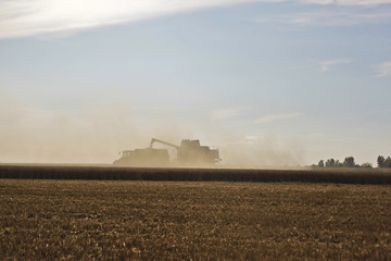 Harvest in the dust- Mähdrescher auf dem Feld